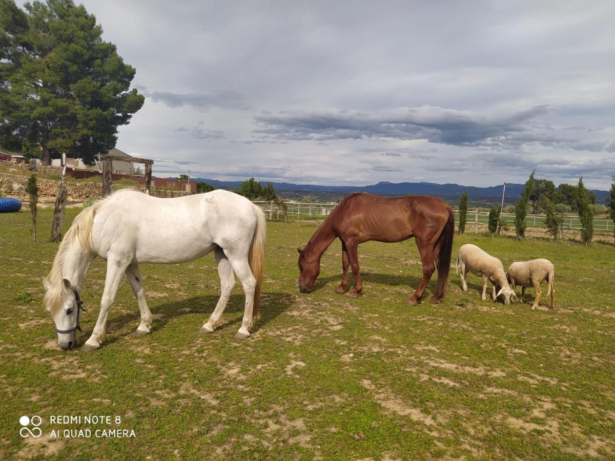 Casa Con Vistas, Piscina Y Animales De Granja, La Caseta Tarragona Eksteriør billede
