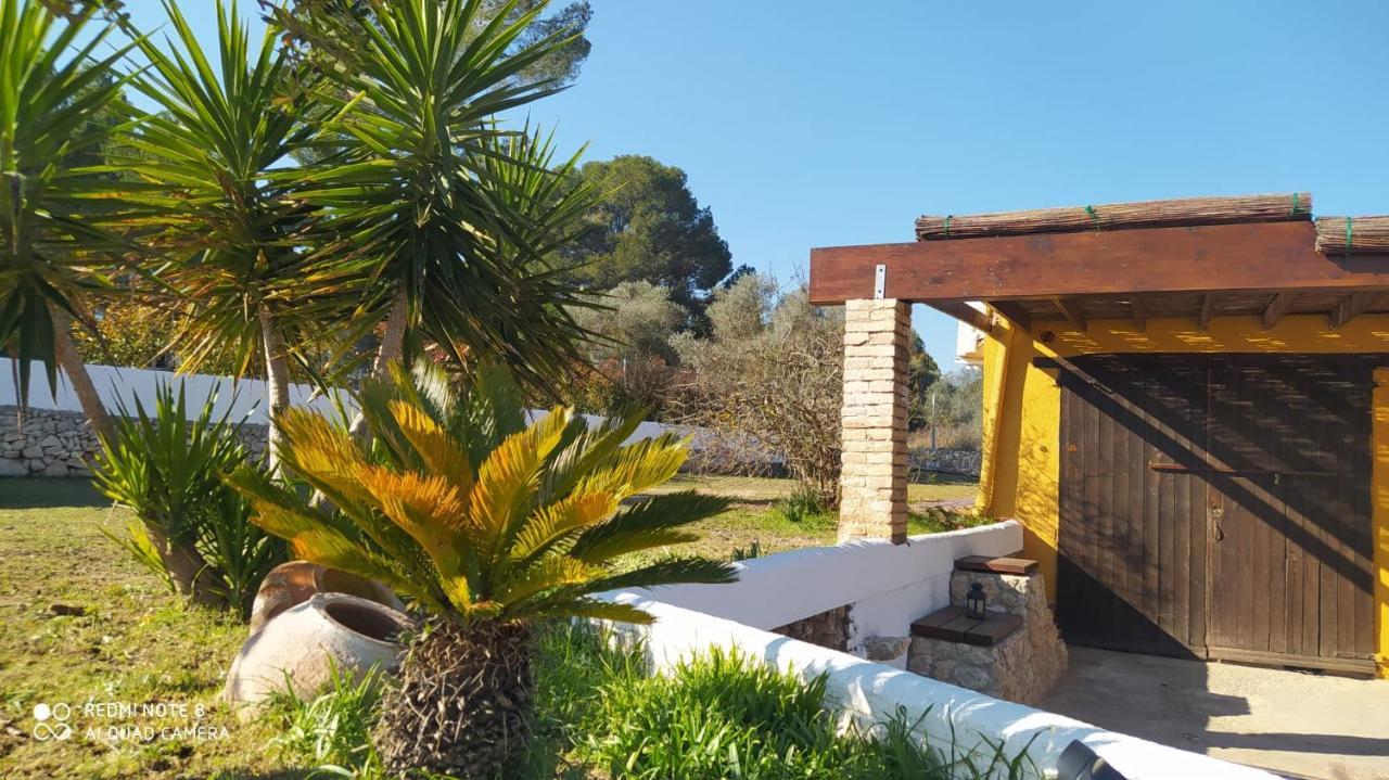 Casa Con Vistas, Piscina Y Animales De Granja, La Caseta Tarragona Eksteriør billede