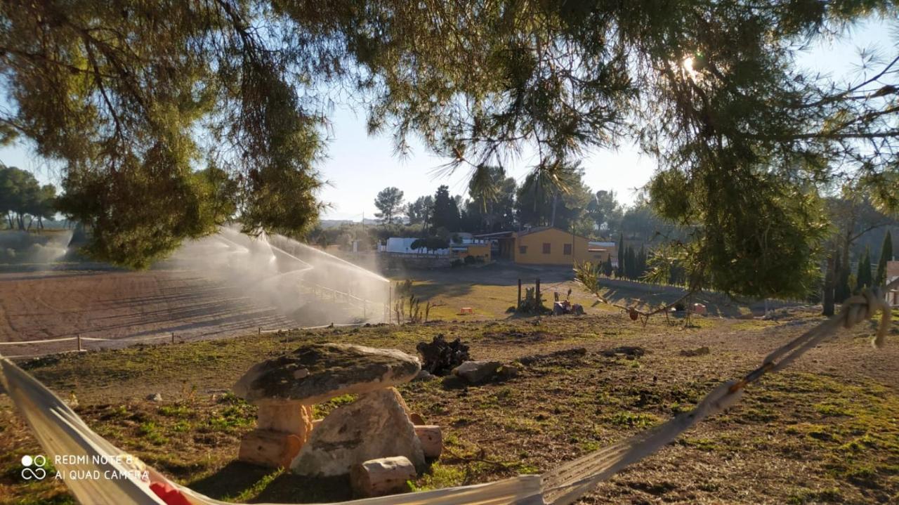 Casa Con Vistas, Piscina Y Animales De Granja, La Caseta Tarragona Eksteriør billede