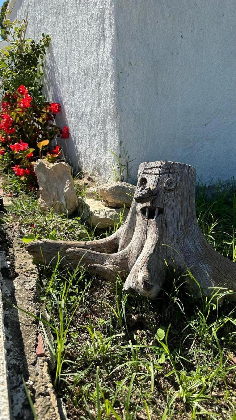 Casa Con Vistas, Piscina Y Animales De Granja, La Caseta Tarragona Eksteriør billede